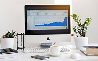 总决赛斩获1金2银3铜 河南跆拳道队2024胜利收官